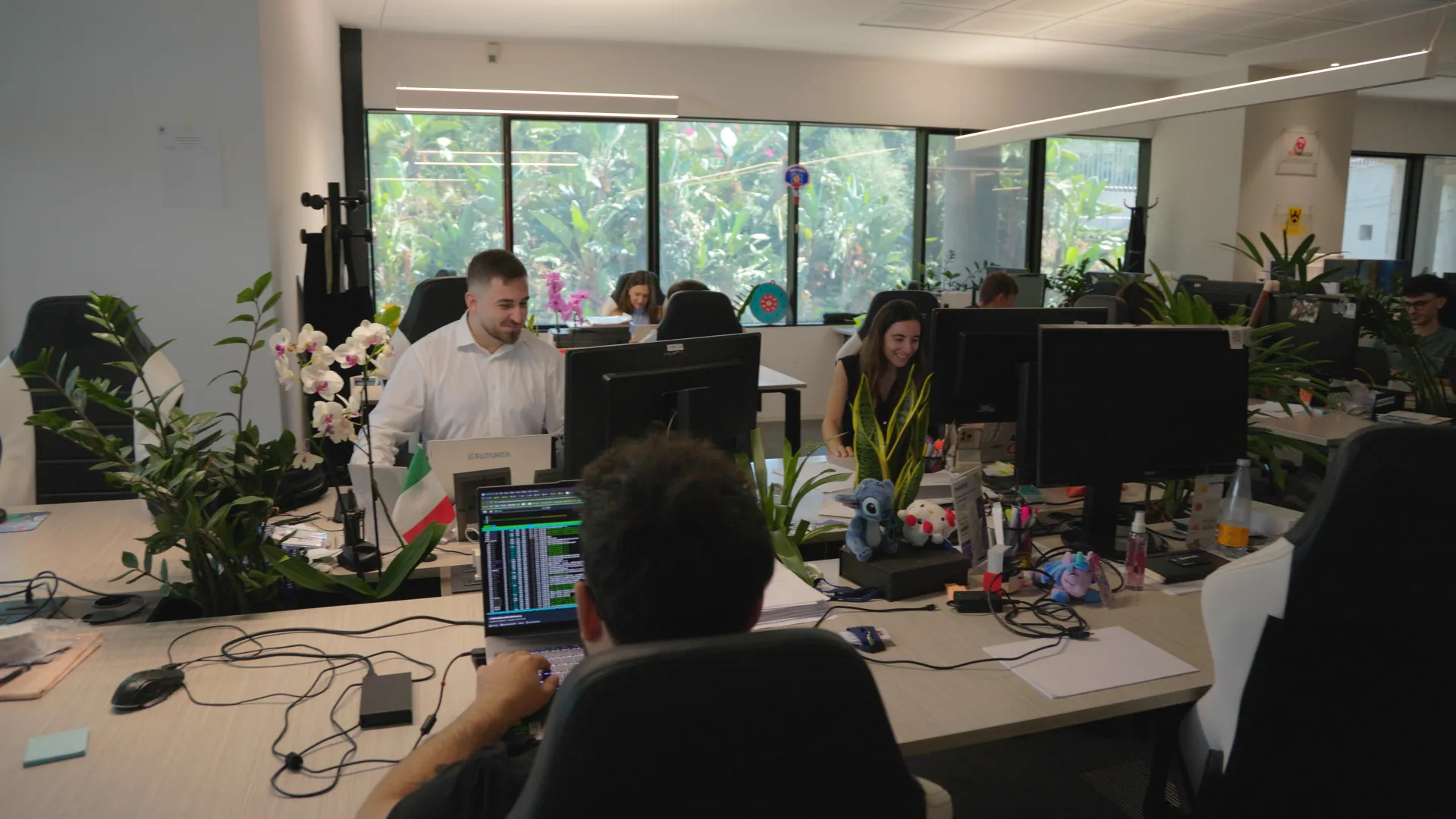 Team working in the open-plan workspace surrounded by plants
