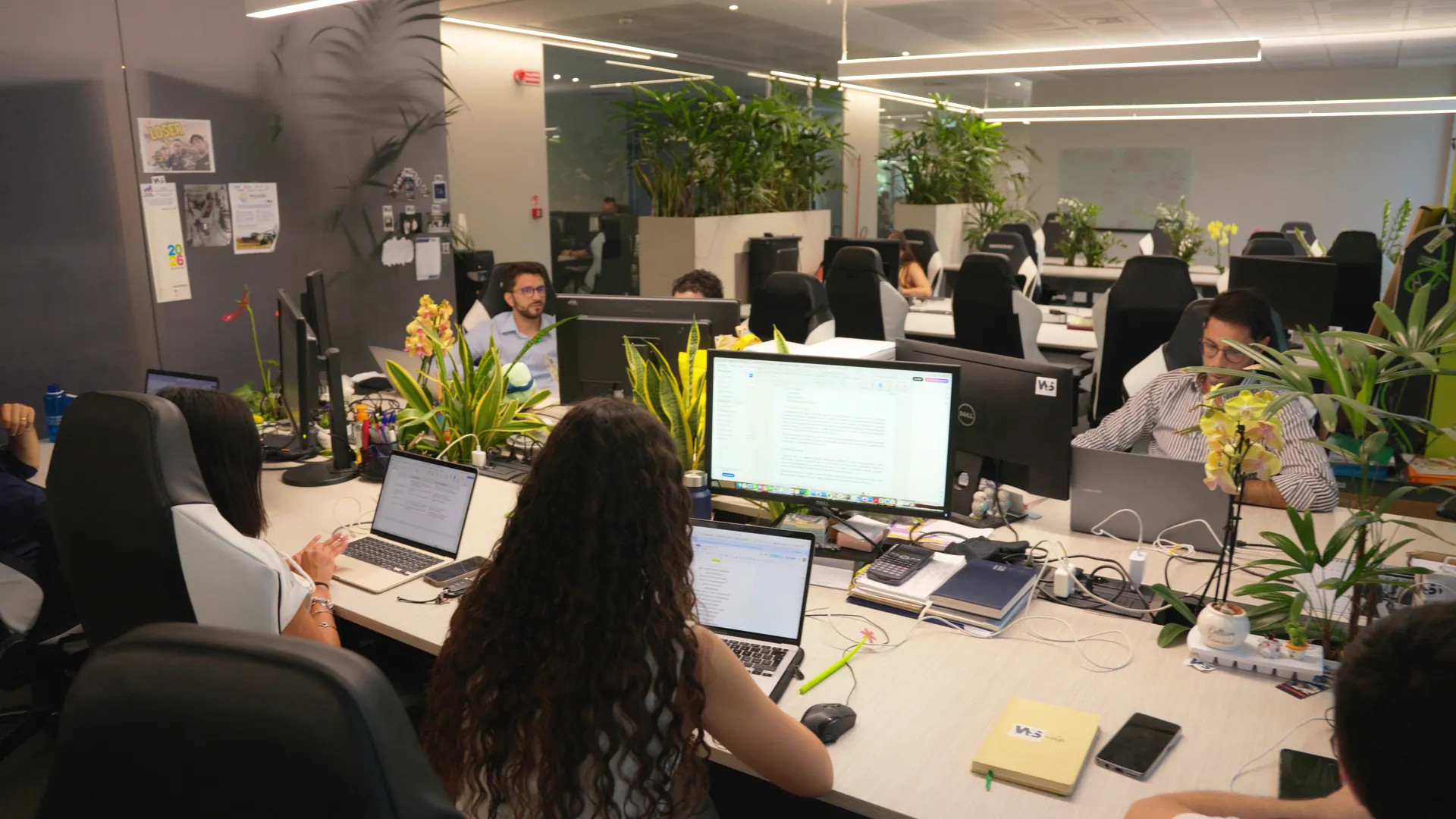 Colleagues at their desks with laptops and flowering plants